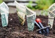 Što smo naučili kroz Ideju poštenog novca?